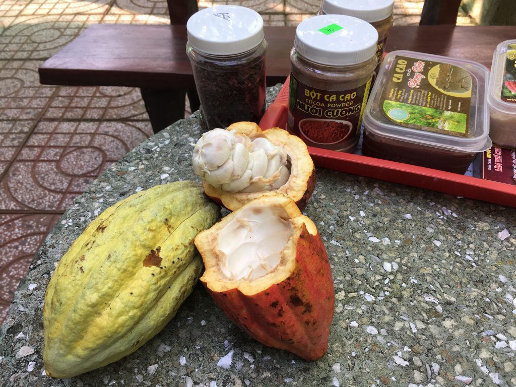 cocoa-farm-vietnam